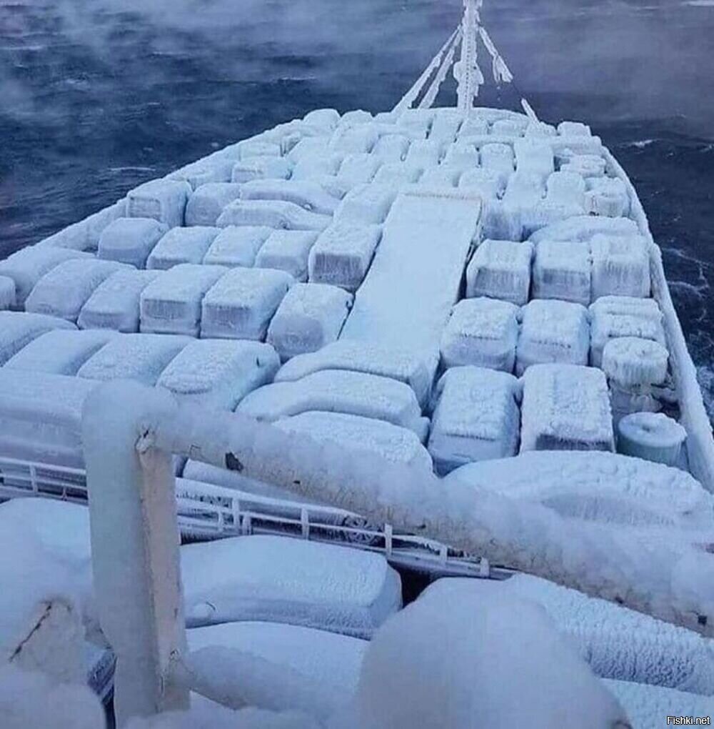 В шторм попали