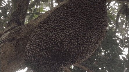 у них внутри телек, смотрят футбол и волну по трибунам пускают