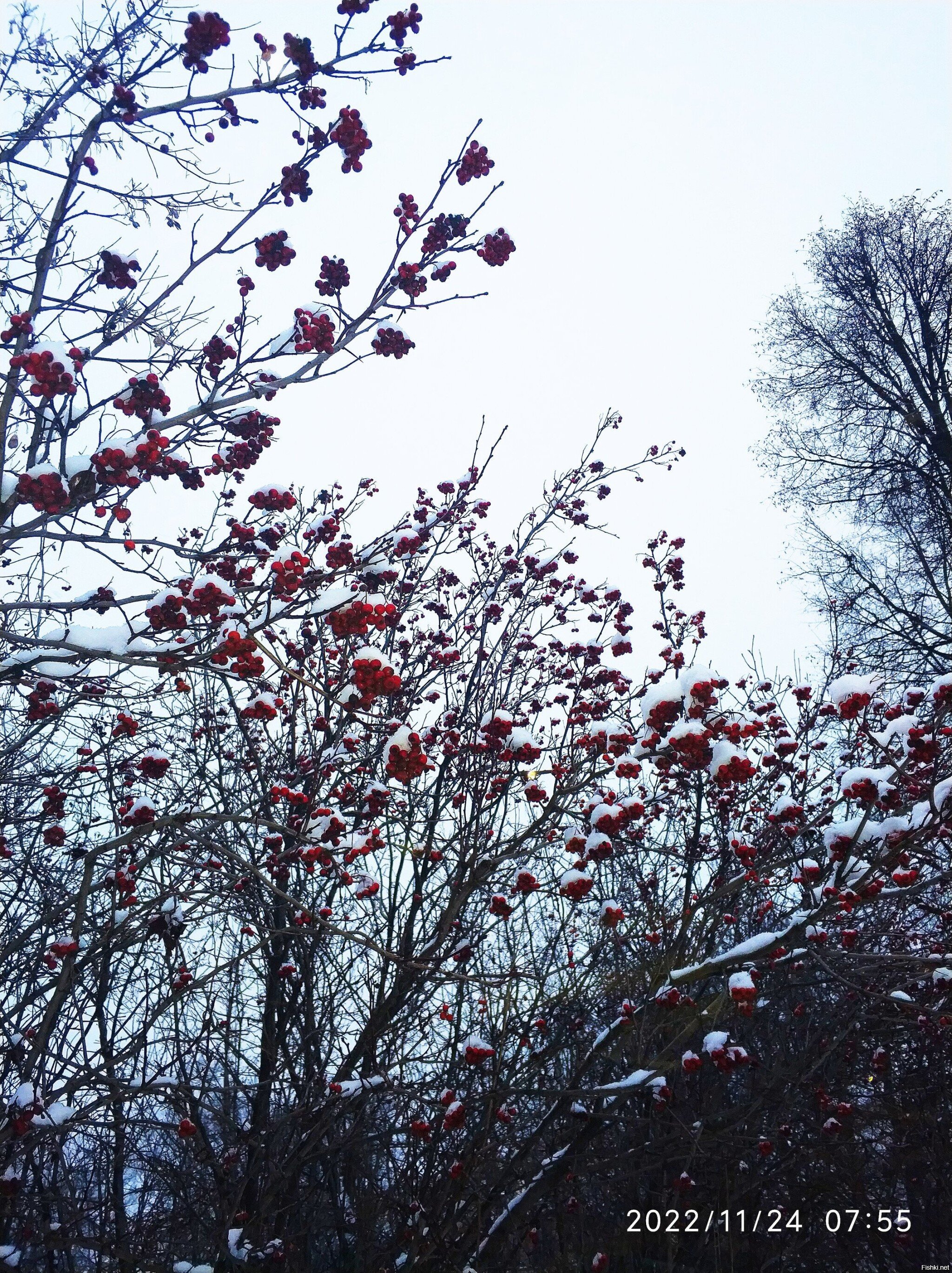 25 ноября, Иван Милостивый (Иван Снежный)