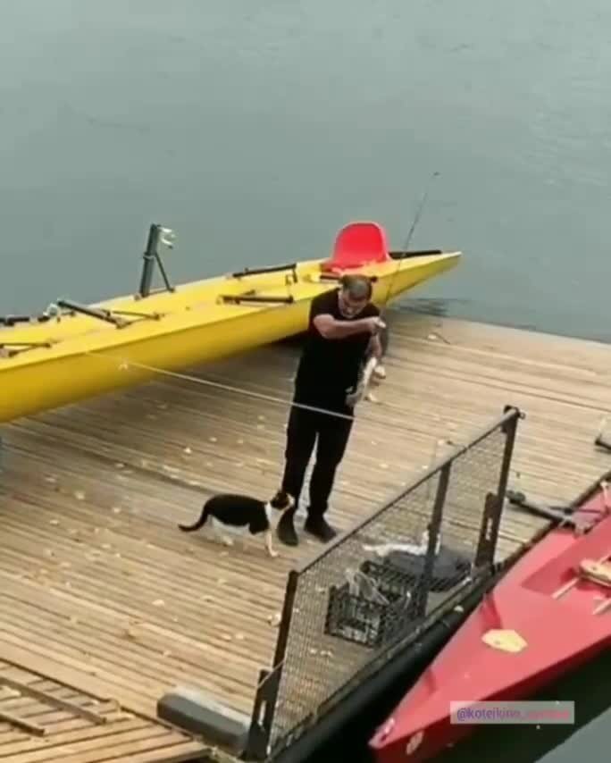 утащил всё таки