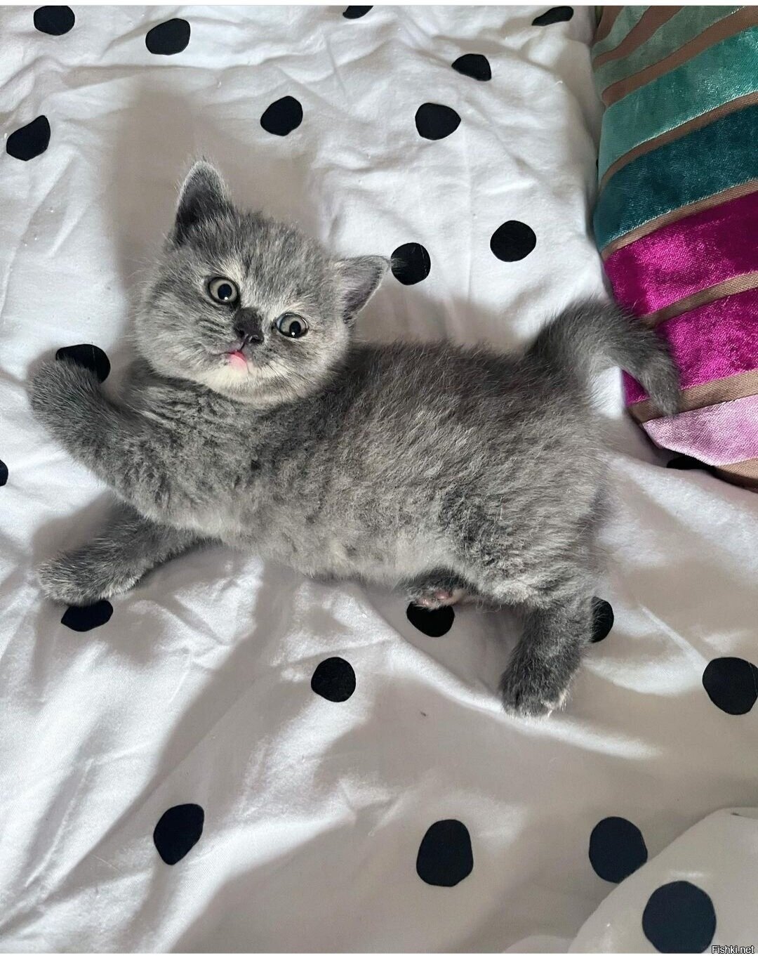 Доброе утро