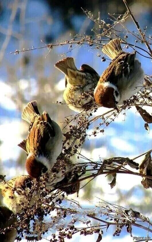 Доброе утро)