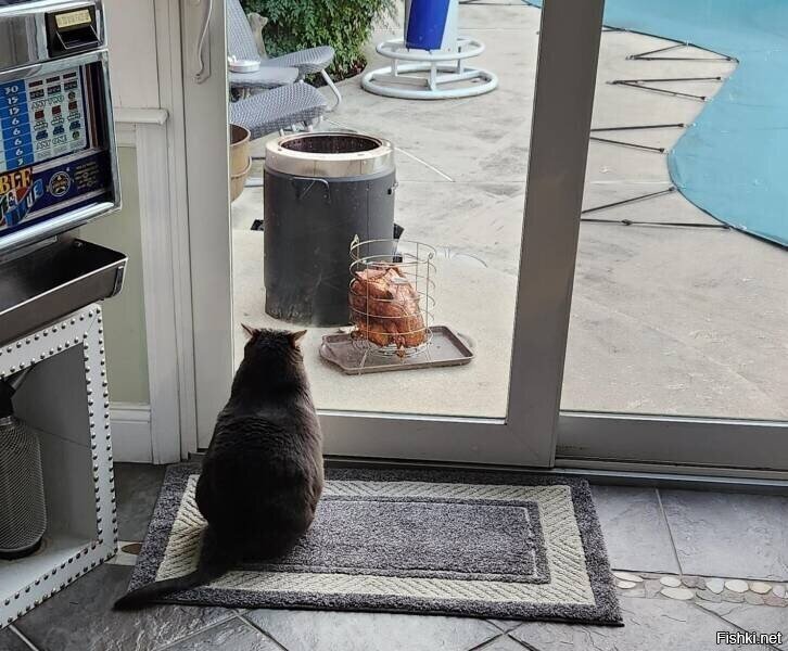 -от жеж ссуки