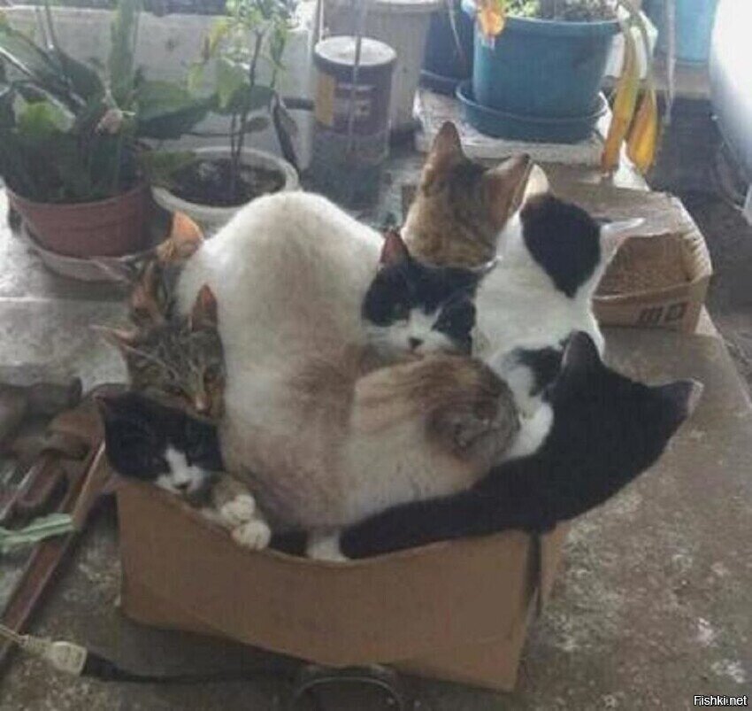 Маршрутка из общаги