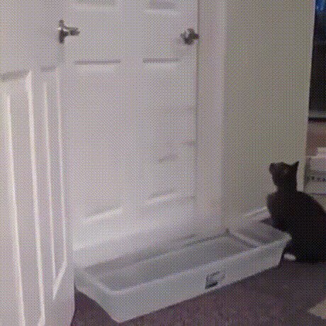 Миссия выполнима