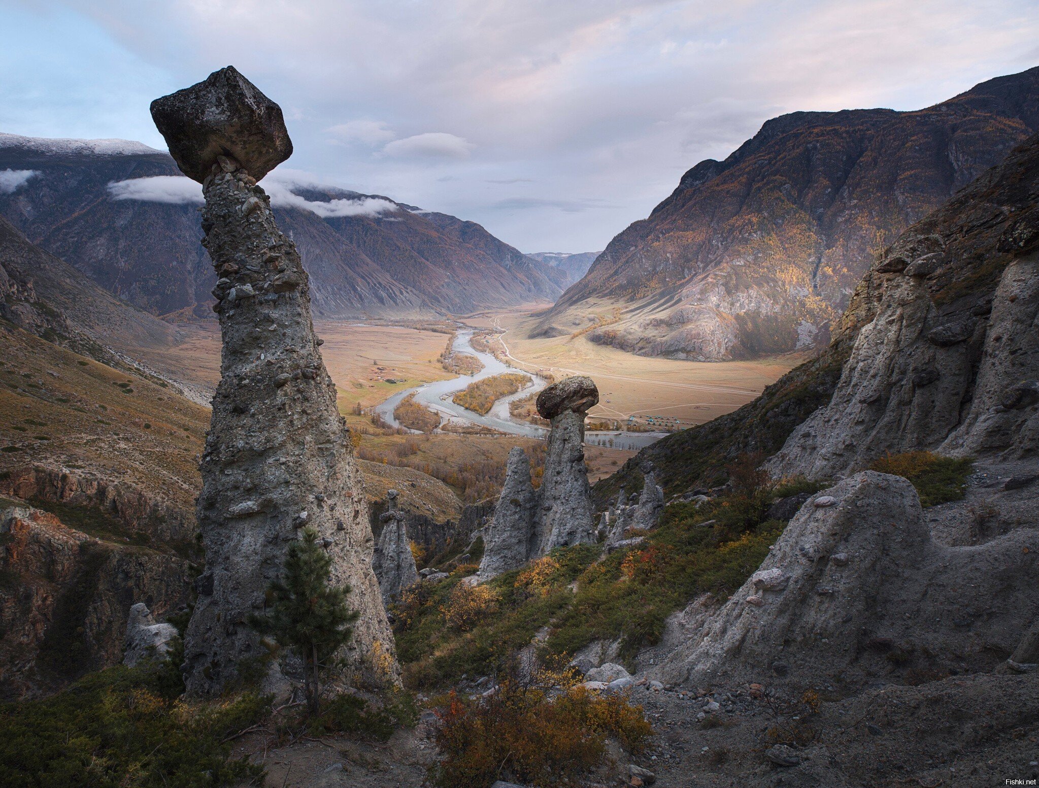 Каменные грибы