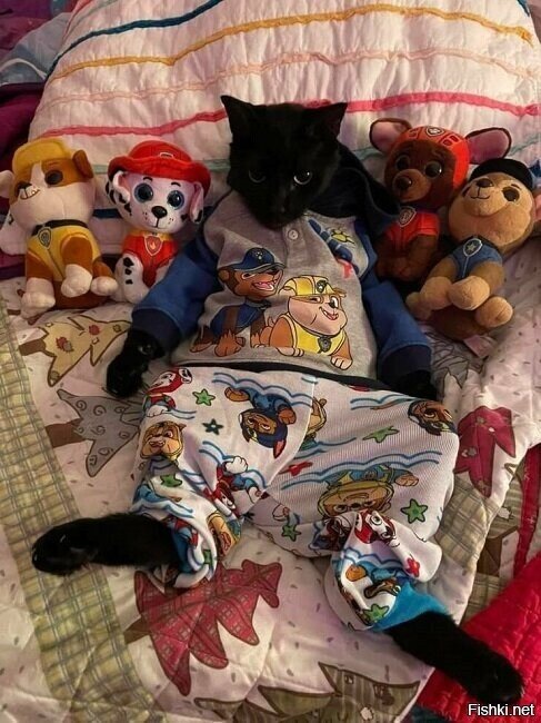 не, пока ещё не сплю