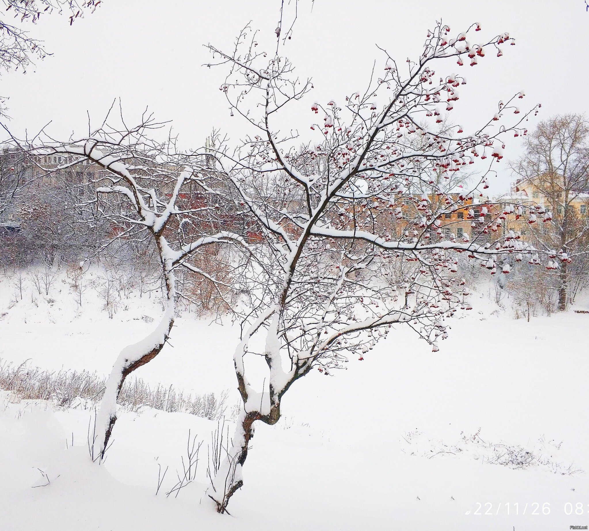 Доброе утро)