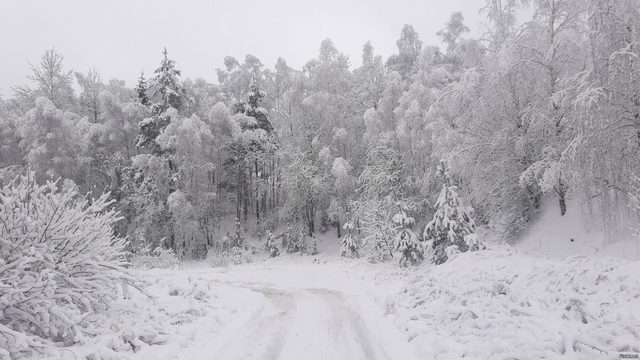 Республика Беларусь Могилёвская область