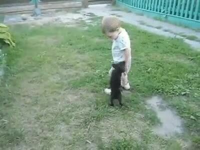 Осторожно, во дворе злая собака