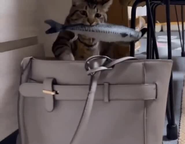 Когда проголодался на работе