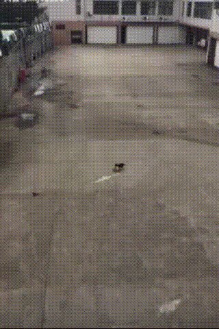 - Где взял, где взял