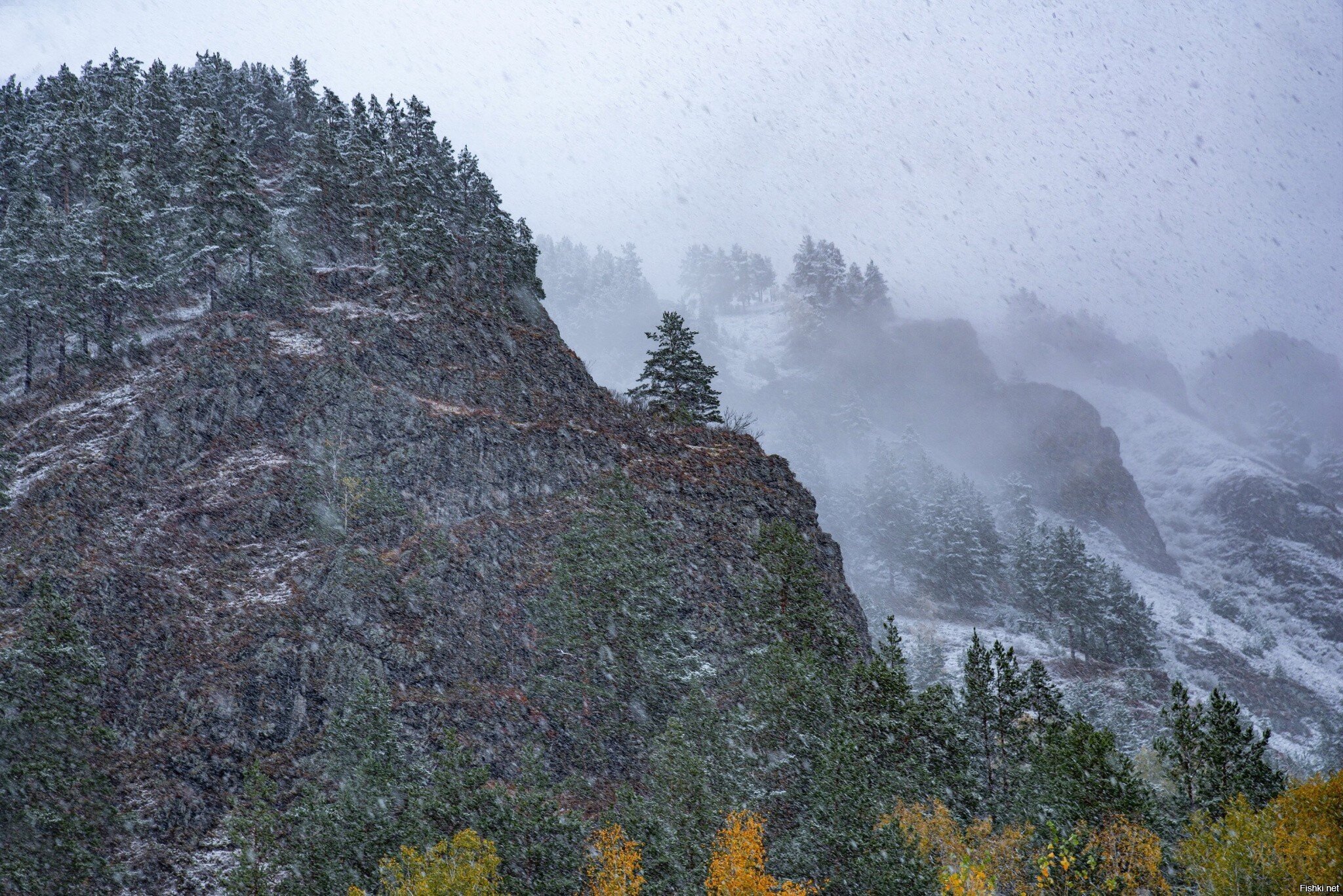 Алтай, первый снег