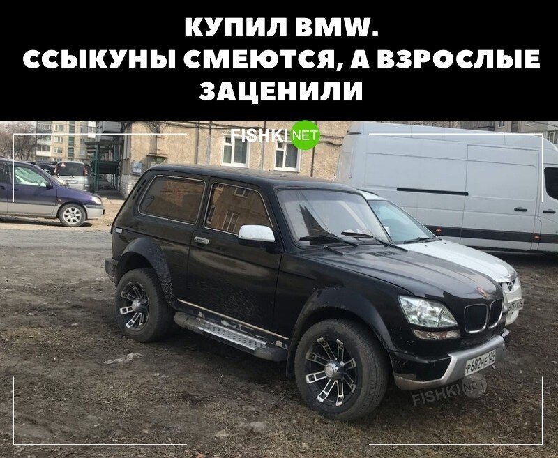 Смешные и познавательные картинки