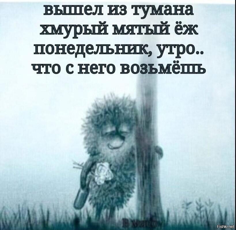 Доброе всем