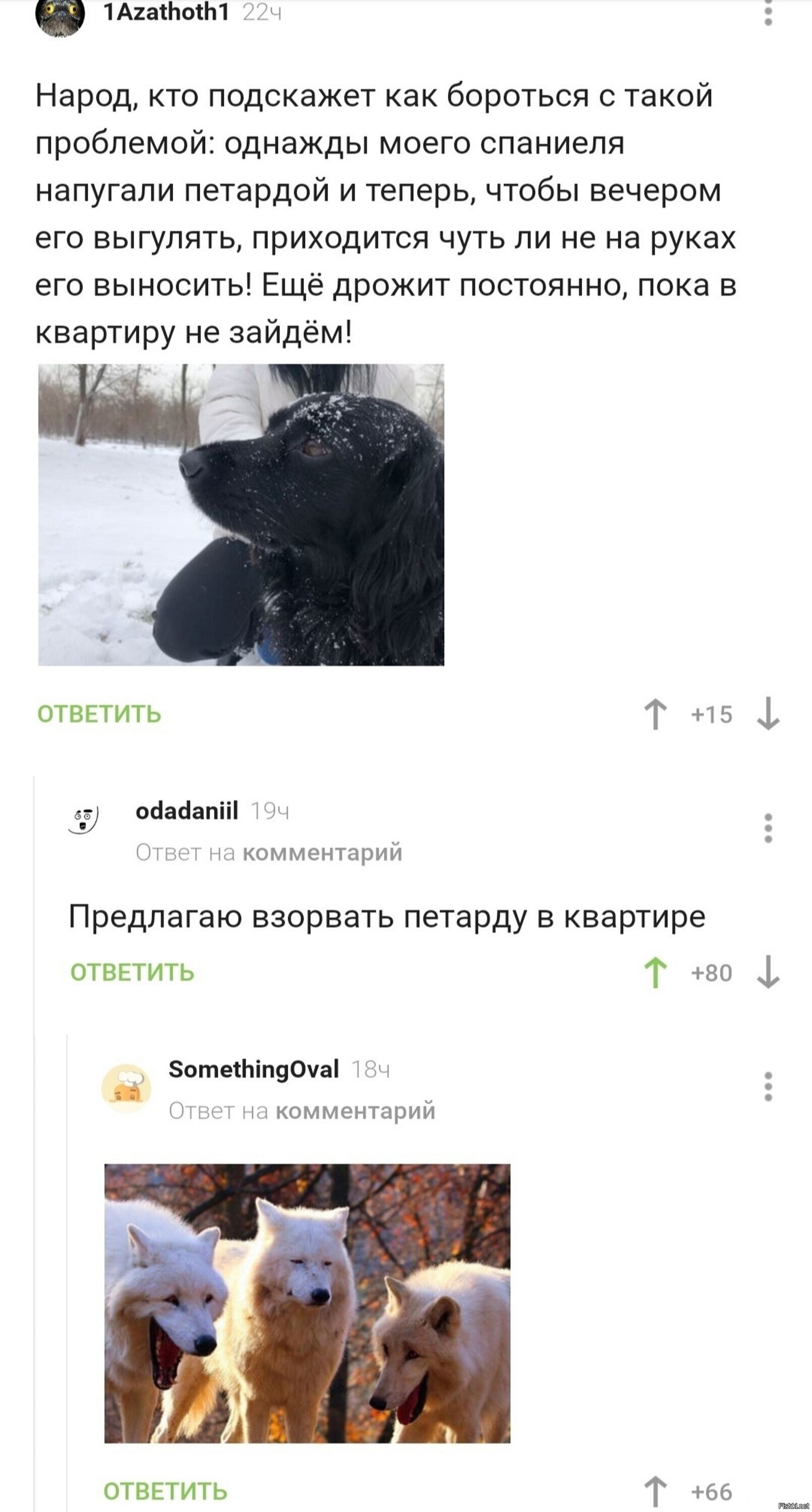Солянка