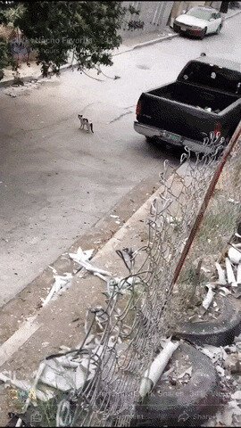 Сельский дрифт