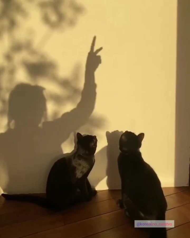 игра с тенью)