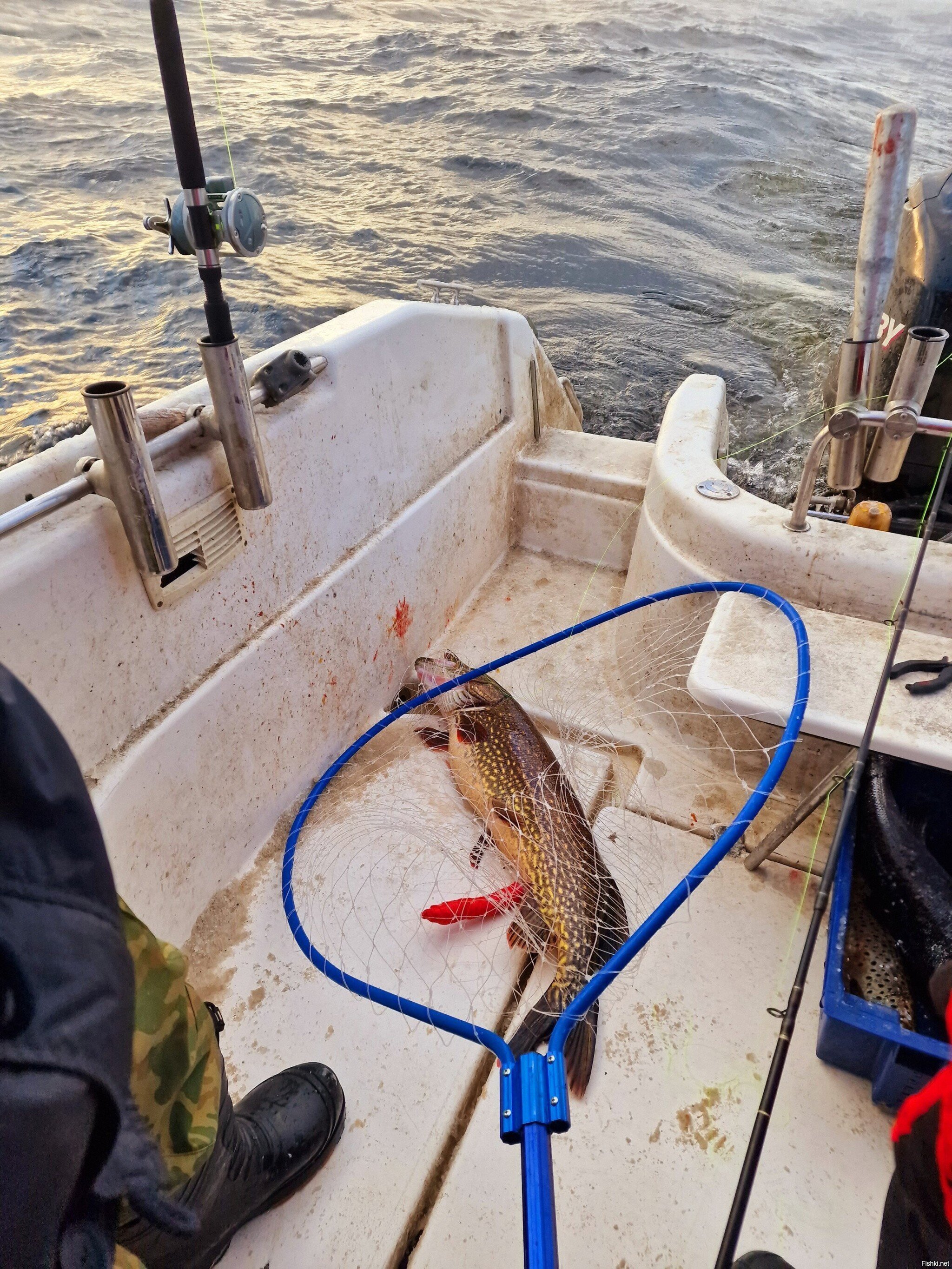 Облом года по версии ИН