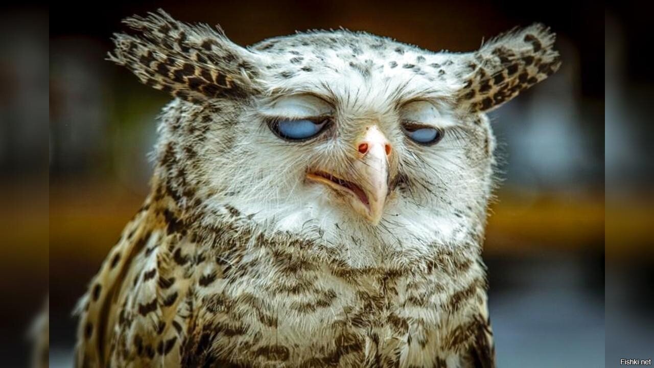 «А каким же местом я устал