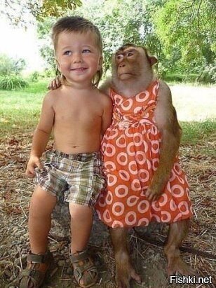 Сын с женой глазами свекрови