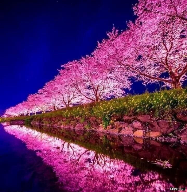 Японский Киото