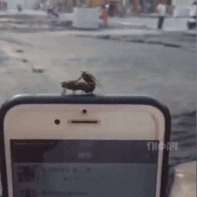 Уже не новый