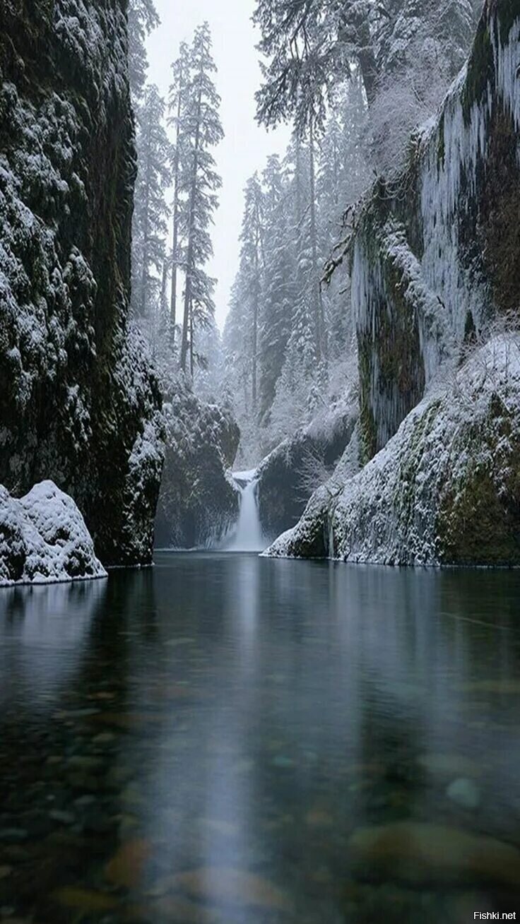 Доброе утро) 