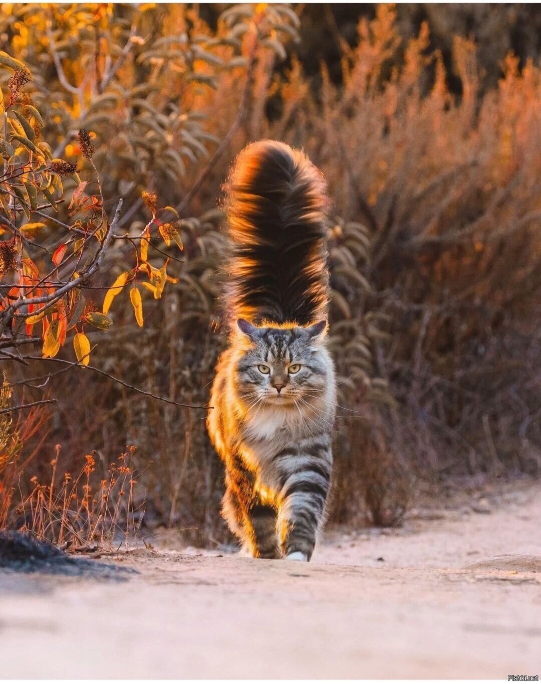 Доброе утро