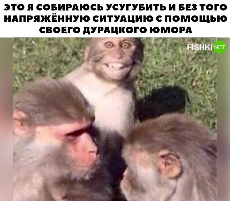 Скрины из соцсетей