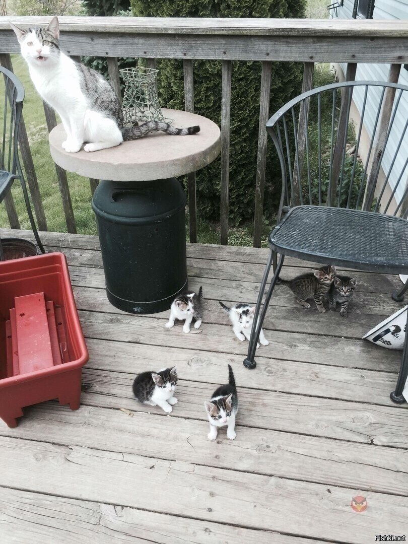 - Памагиттяя