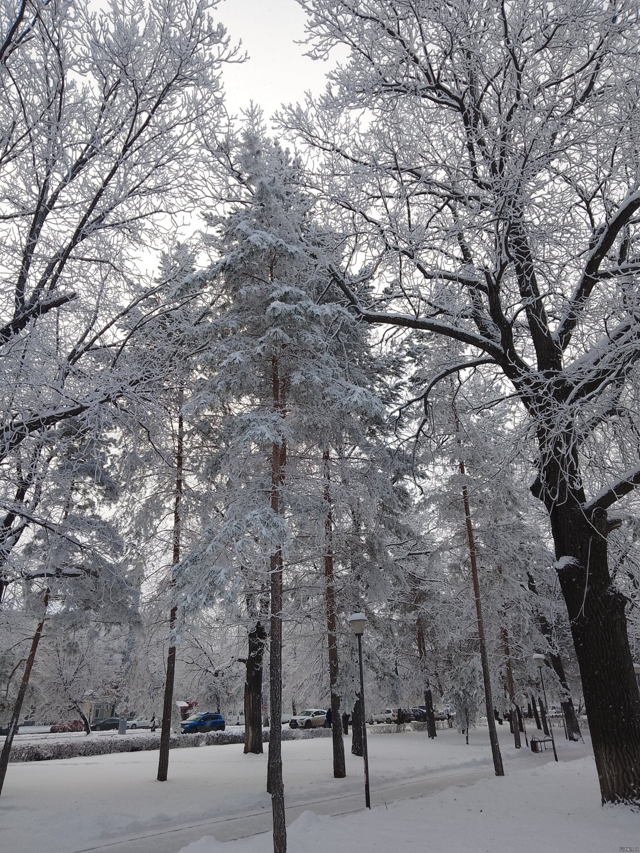 Последний день осени