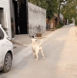 -быстро домой