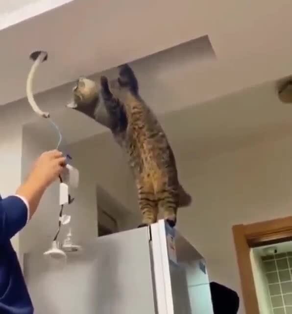 Старший помощник,младшего электрика