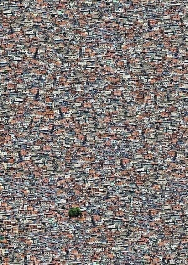 Росинья — самая известная из фавел Рио-де-Жанейро (Бразилия)