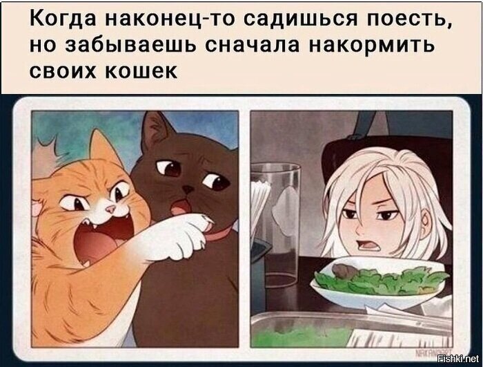 Солянка