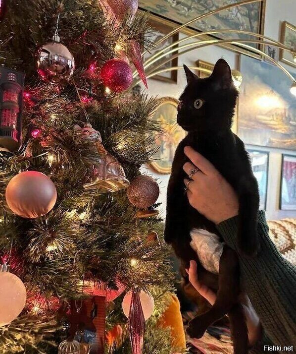 фото сильное и грустное