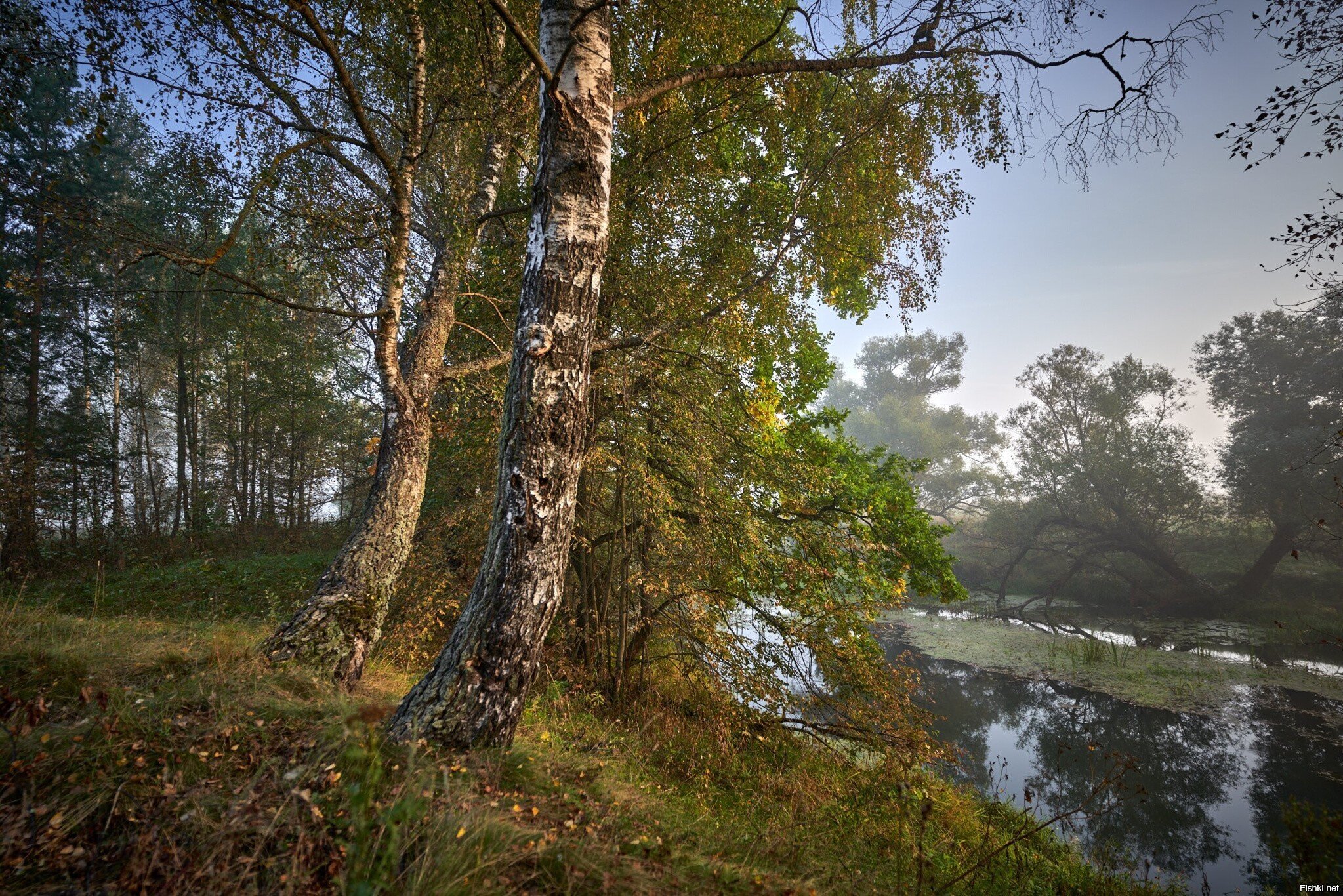 Осеннее утро на реке Суходрев
