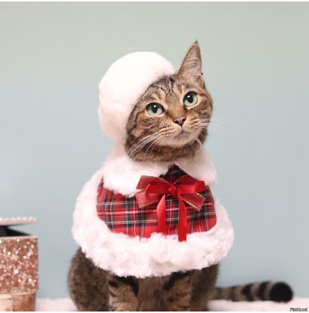 Доброе утро