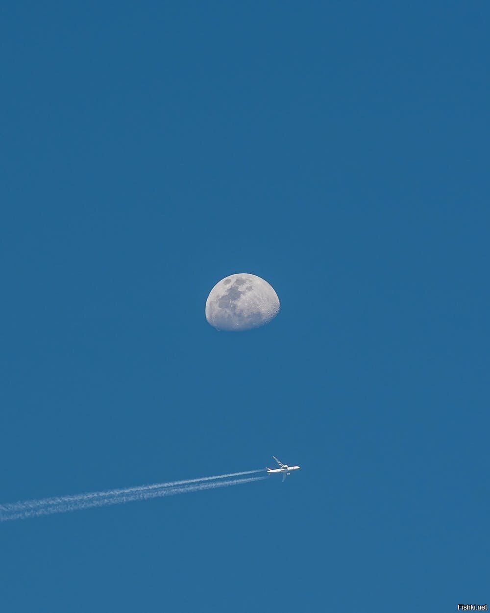 С добрым декабрьским утром