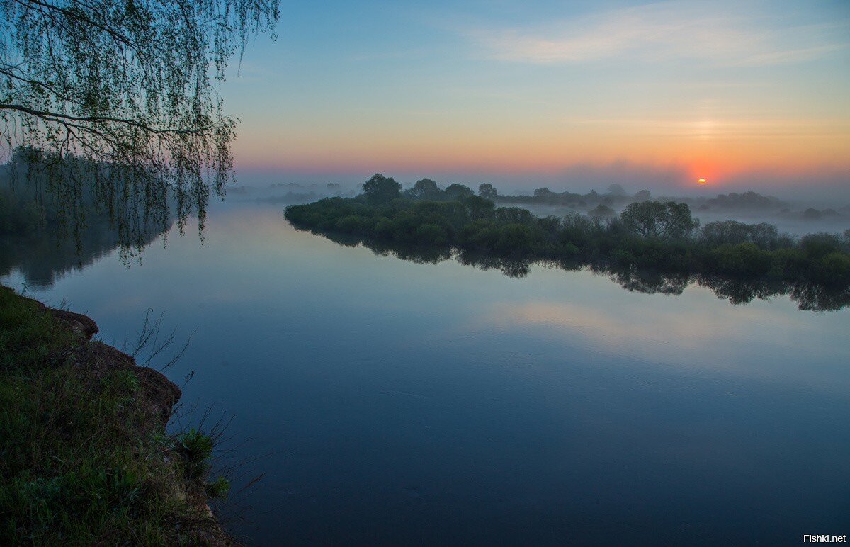 а гоголь прав подумал дятел 