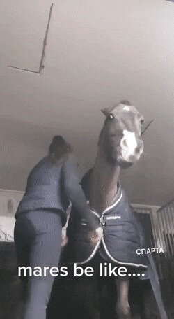 застёжкой прищемила штоле