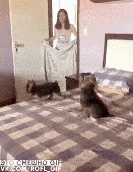 - Ну наконец-то свалила