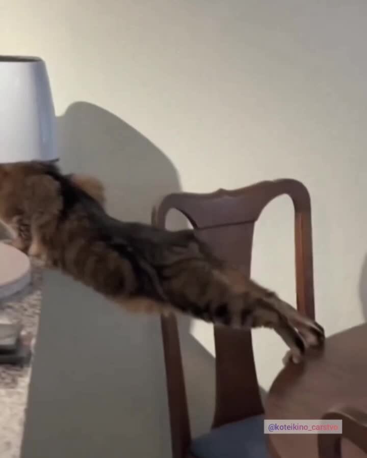 Голод не тётка