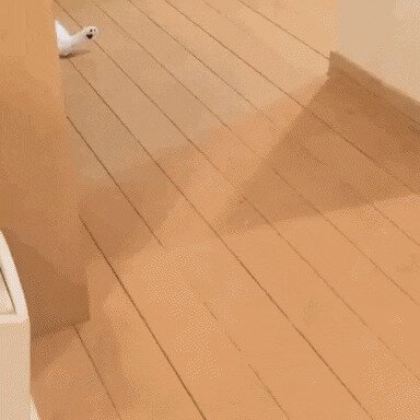 - Я паркуюсь как хочу