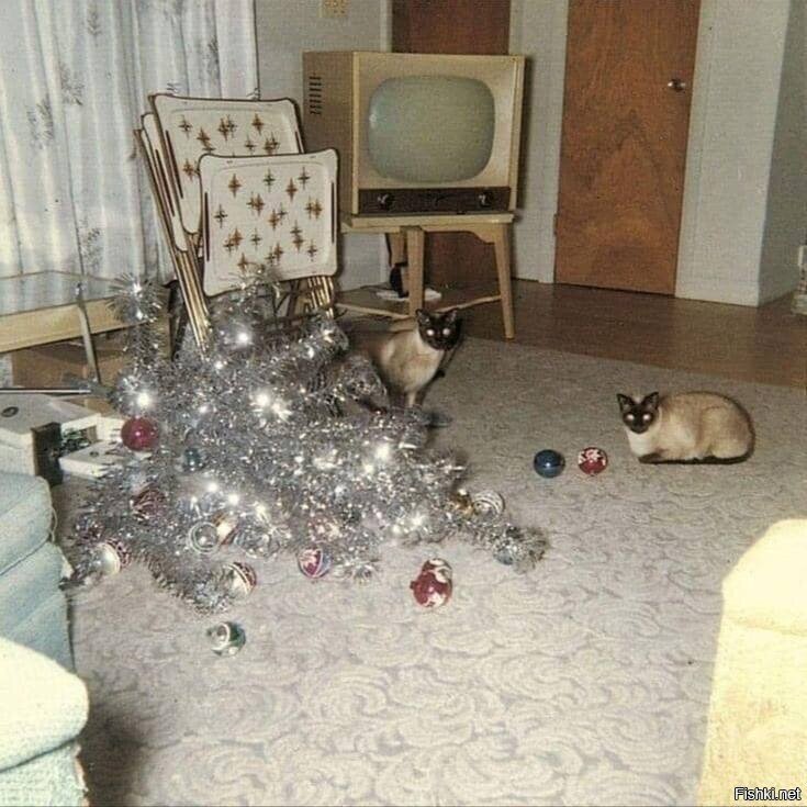 Родоначальники тренда, США, 1958 год