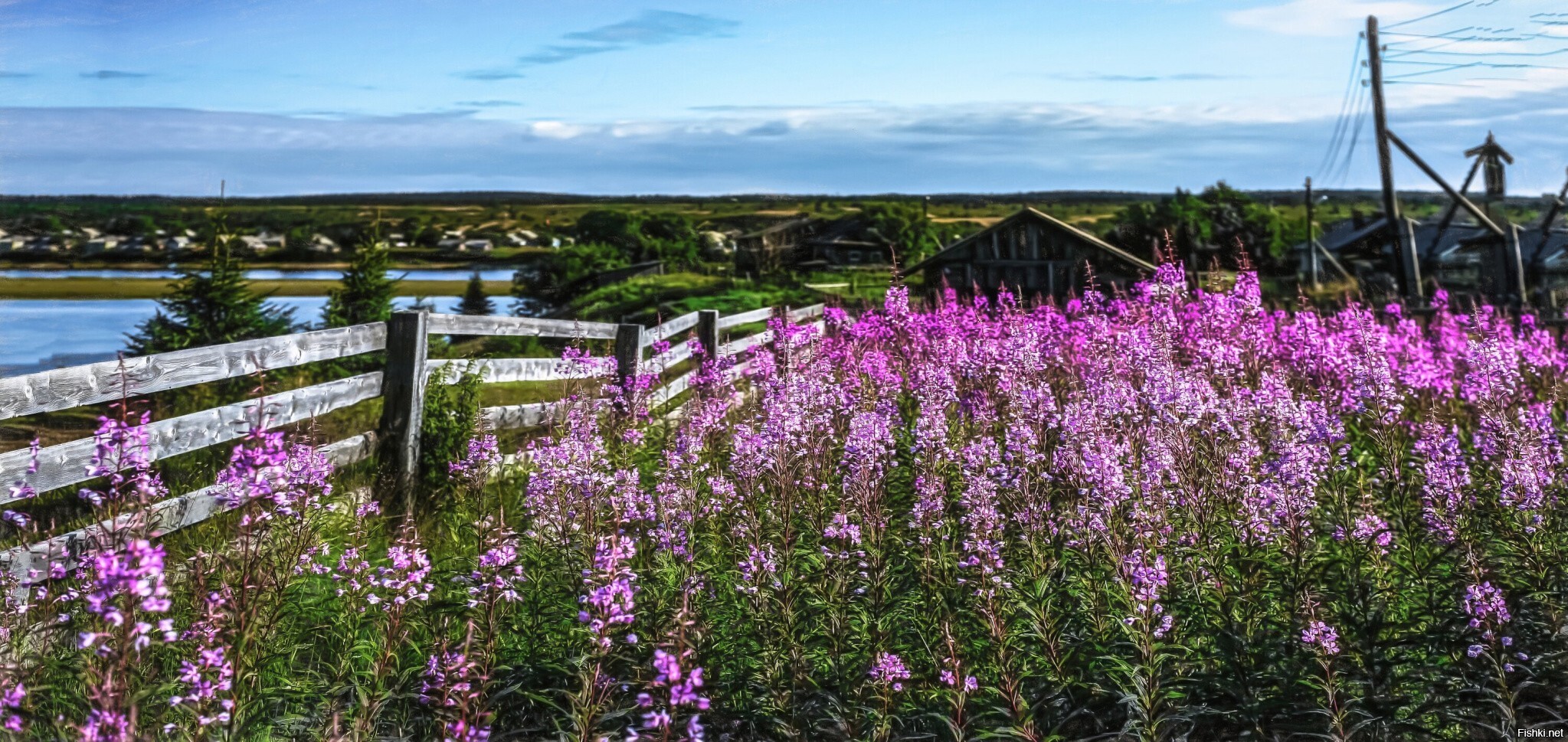 Ещё один кадр из архива моих