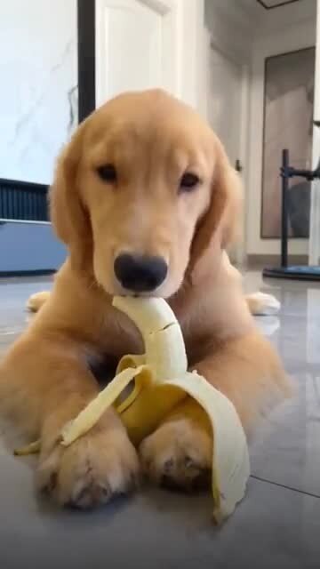 Всем нужны витамины