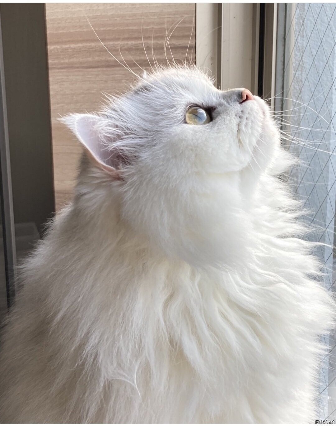 Доброе утро