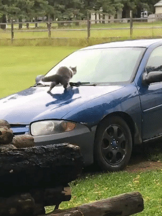 - Оо, нормуль горка